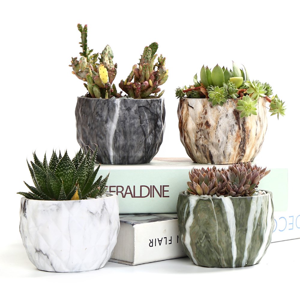 Sun-E marbling ceramic pot closeup showcasing modern texture for small succulents