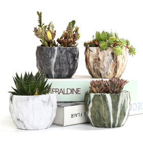 Sun-E marbling ceramic pot closeup showcasing modern texture for small succulents