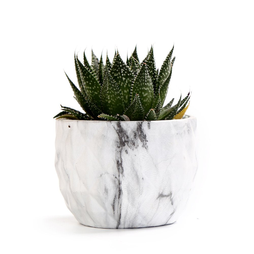 Sun-E pot shown without plant to emphasize size and design