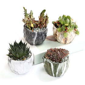 Sun-E marbling pot front view highlighting clean lines for living room shelves