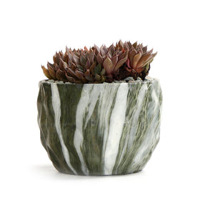 Sun-E packaging-ready ceramic pot protects contents for gifting