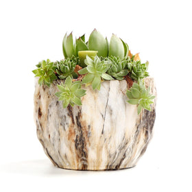 Sun-E pot set of four shown together for cohesive home decor