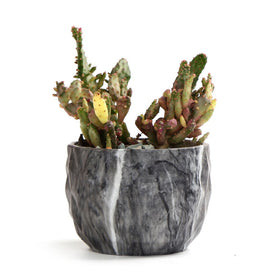 Sun-E marbling pot top-down view reveals subtle glaze for plant displays