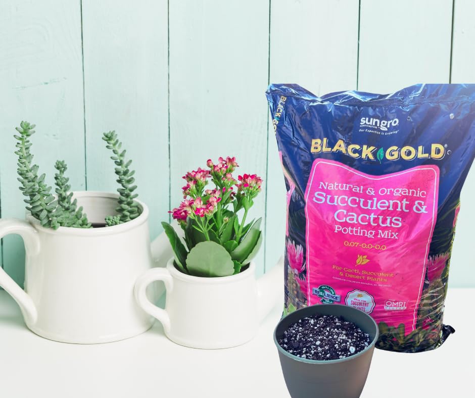 SUN GRO cactus-succulent-garden-application illustrates versatile use in pots and beds.