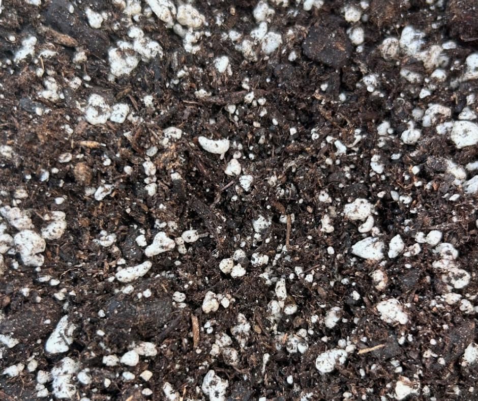 SUN GRO earthworm-castings-and-pumice image shows premium components that support drainage and aeration.