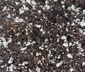SUN GRO earthworm-castings-and-pumice image shows premium components that support drainage and aeration.