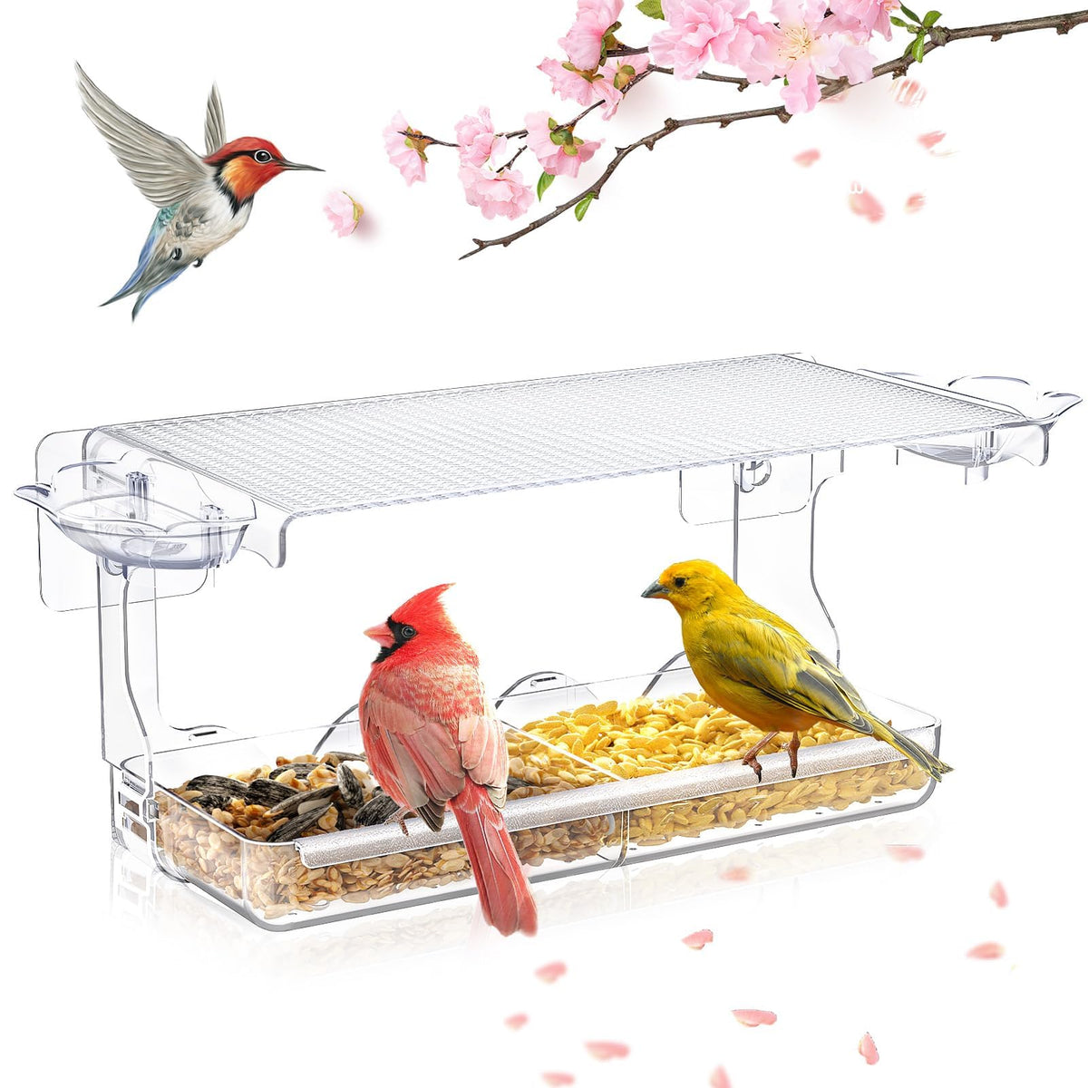 SUNALLY Window Bird Feeder offers a clear view of visiting birds from indoors.