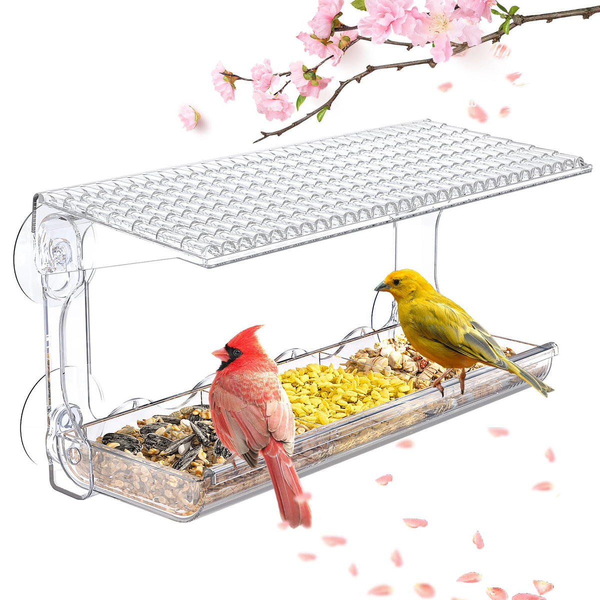 SUNALLY Window Bird Feeder with clear visibility for up-close indoor bird watching