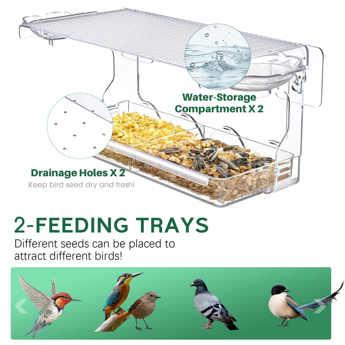 SUNALLY window feeder two-compartment tray highlights different seed options for birds.