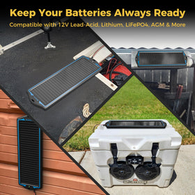 SUNAPEX includes 12V plug and alligator clips for direct battery connection.