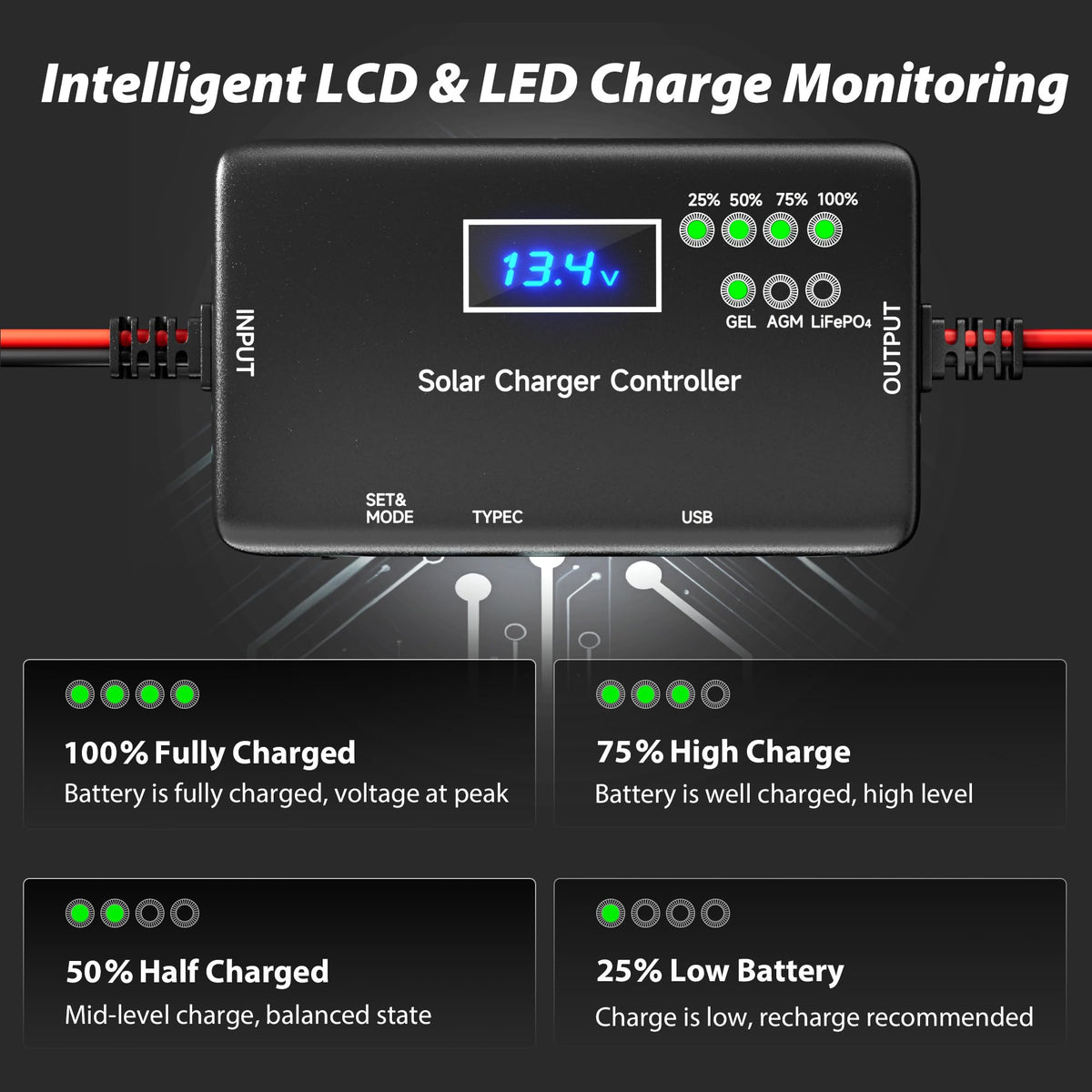 SUNAPEX plug-and-play SAE connectors enable quick solar setup.