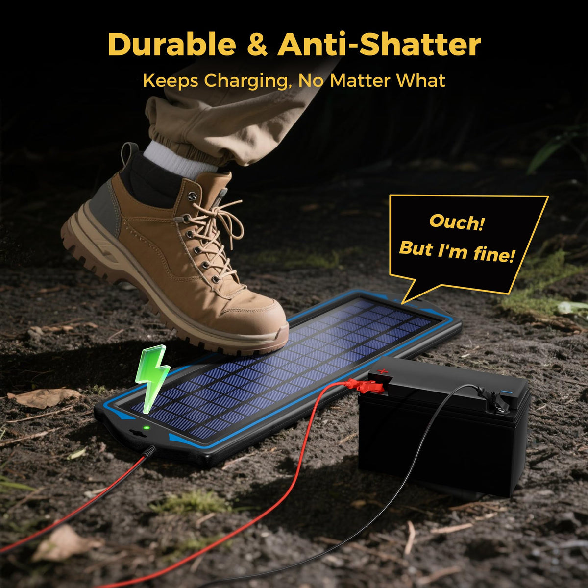 SUNAPEX warranty and lifetime support badge signals reliable service.