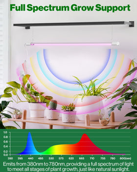 Sunco LED grow light over indoor plants for consistent growth.