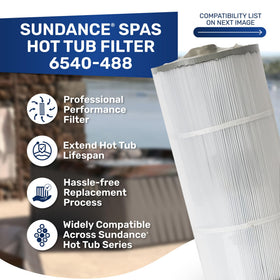 Sundance 6540-488 spa filter label close-up shows model ID for reference