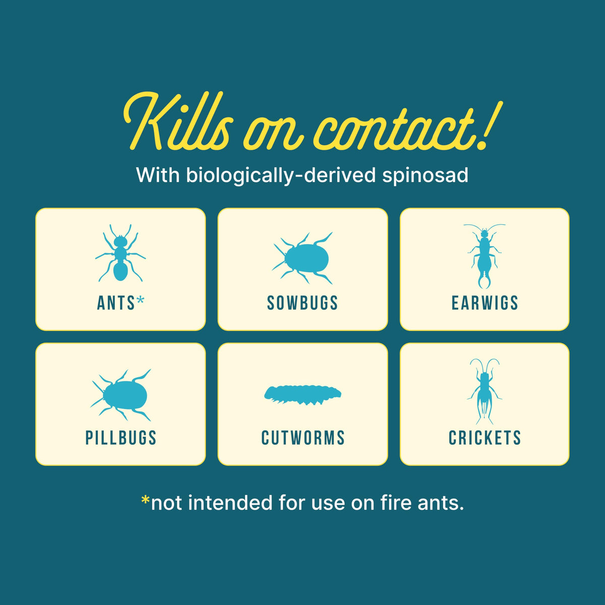 SUNDAY Ant Adios odor-free outdoor pest control formula on display