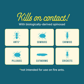 SUNDAY Ant Adios odor-free outdoor pest control formula on display