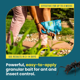 SUNDAY Ant Adios used safely around garden plants and ornamentals