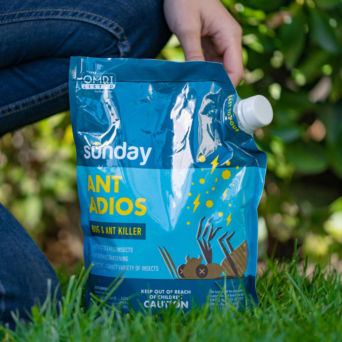 SUNDAY Ant Adios applied along home perimeter and lawn edges