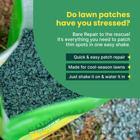 Sunday Bare Repair coco coir mulch layer retains moisture around seeds for longer hydration.