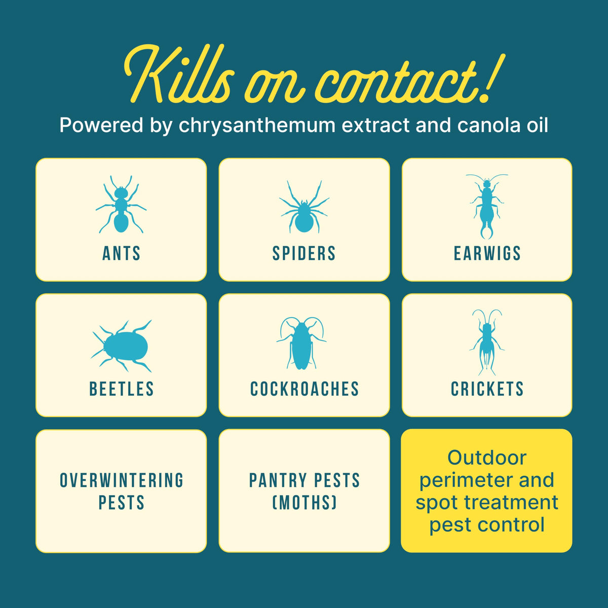 SUNDAY Bug Doom patented technology offering enhanced protection for broader pest coverage