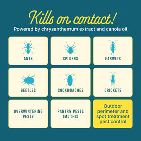 SUNDAY Bug Doom patented technology offering enhanced protection for broader pest coverage