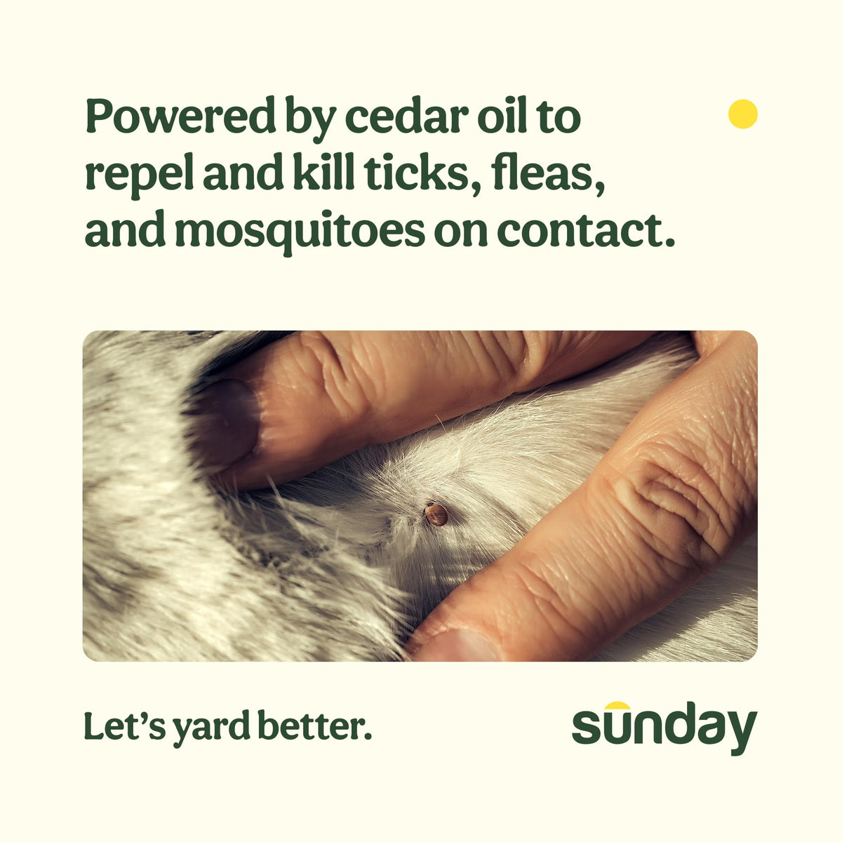 Sunday Nix Ticks safe for pets and people once the spray dries