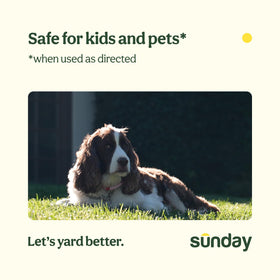 Sunday Nix Ticks outdoor yard scene illustrating family-friendly pest control after drying