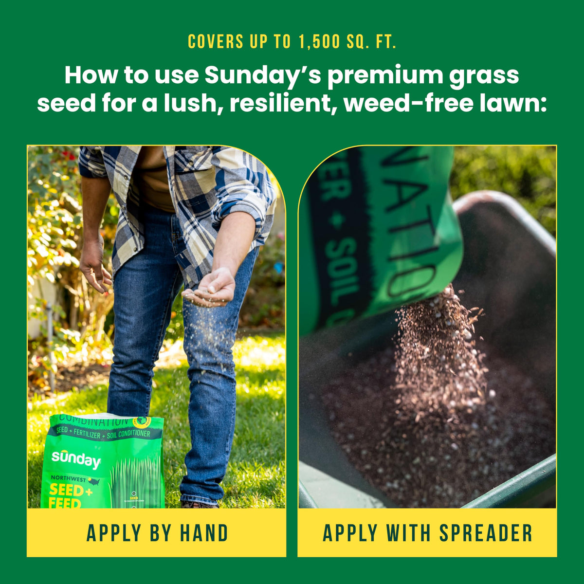 Sunday Northwest Seed + Feed handles Northwest climate with sun and shade resilience.