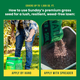 Sunday Northwest Seed + Feed handles Northwest climate with sun and shade resilience.