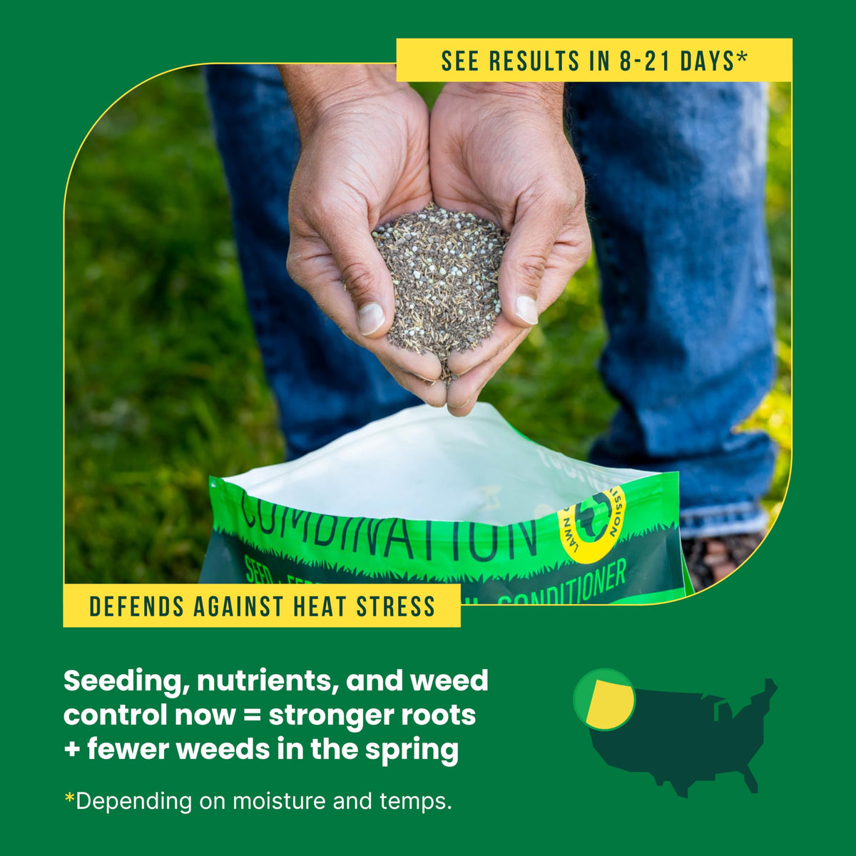Sunday Northwest Seed + Feed perennial ryegrass promotes dense, quick germination.