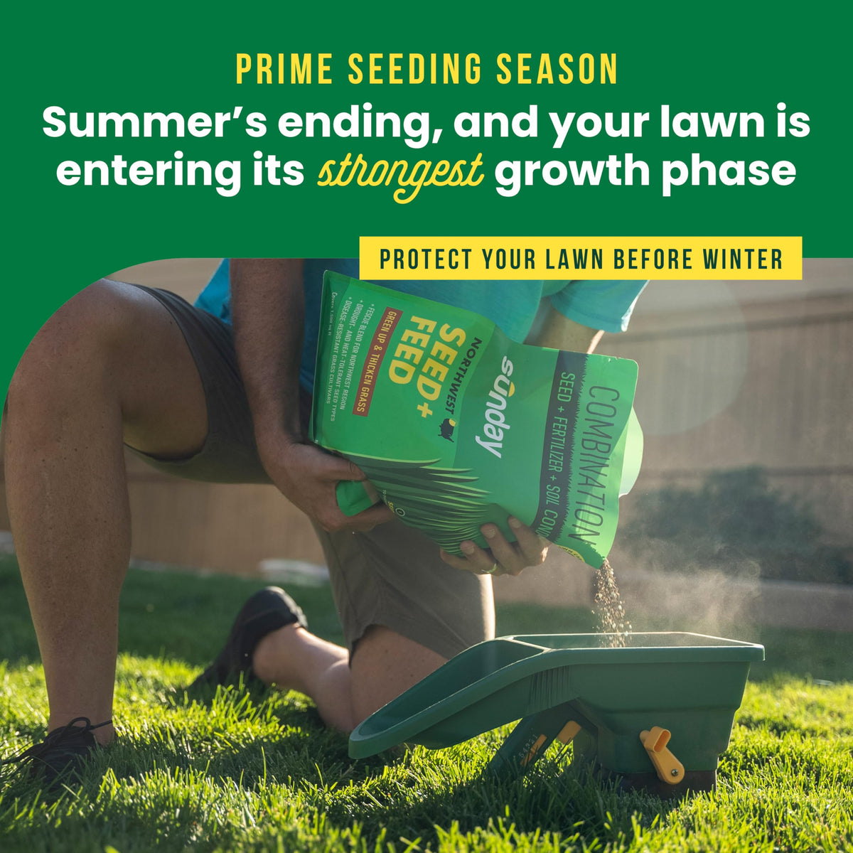 Sunday Northwest Seed + Feed soil conditioner improves soil texture for strong roots.