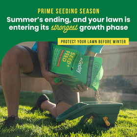 Sunday Northwest Seed + Feed soil conditioner improves soil texture for strong roots.
