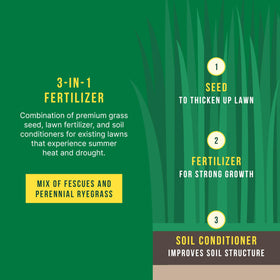 Sunday Northwest Seed + Feed tall fescue supports sun and shade tolerance.