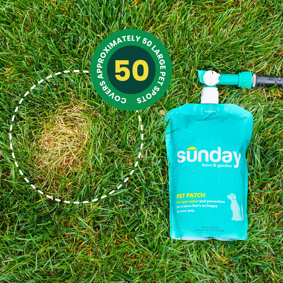 Sunday Pet Patch 2-pack front view highlights value and convenience.
