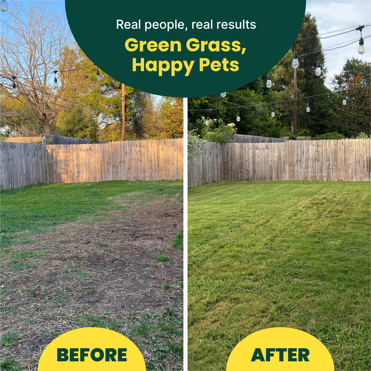 Sunday Pet Patch applying to lawn targets pet spots effectively.