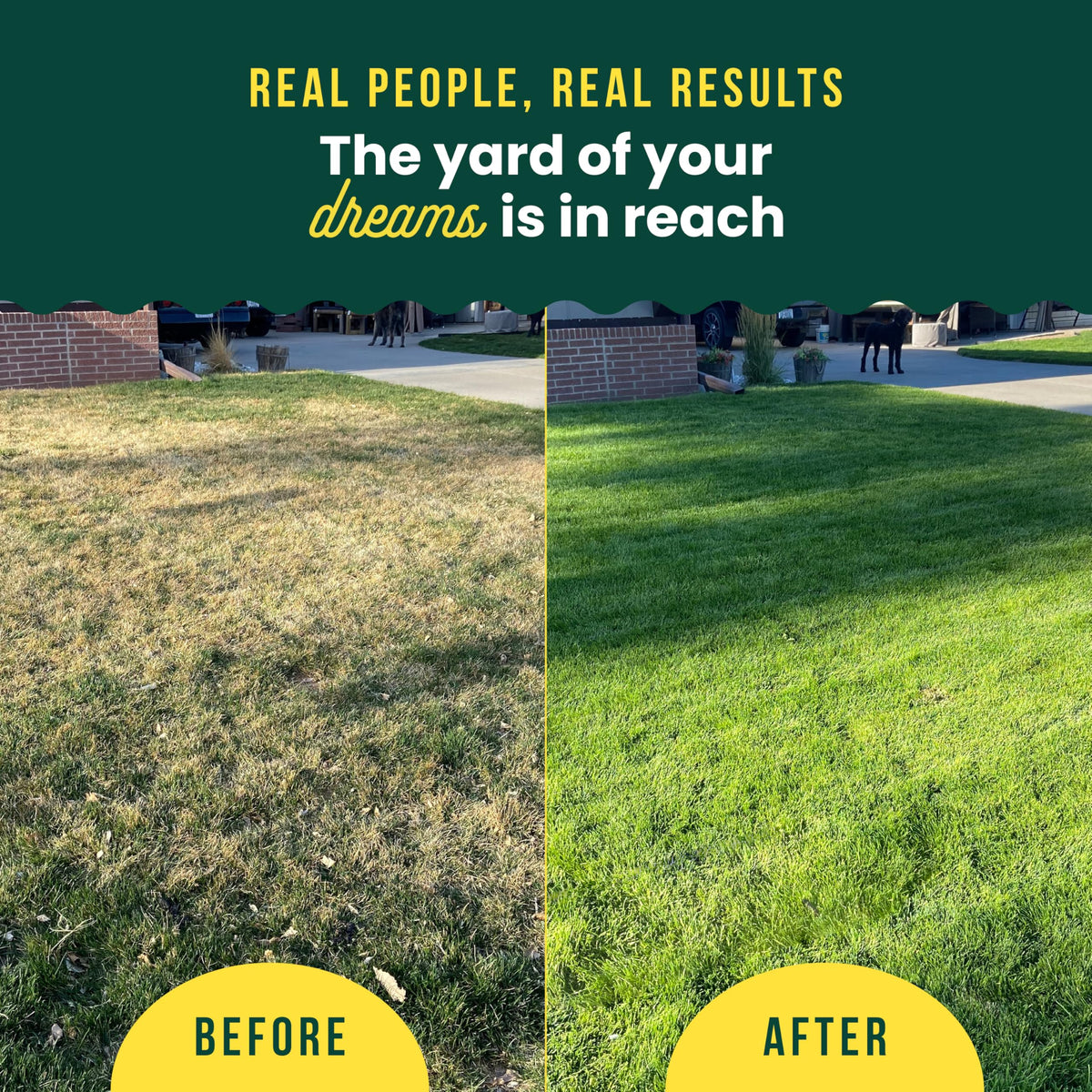 SUNDAY Sprayer attachment included for fast, accurate lawn treatment.