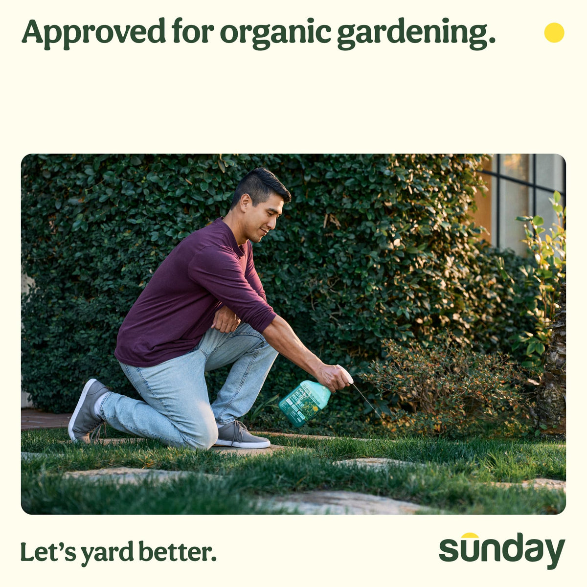 Sunday Weed Warrior dries quickly, allowing safe re-entry for pets and people