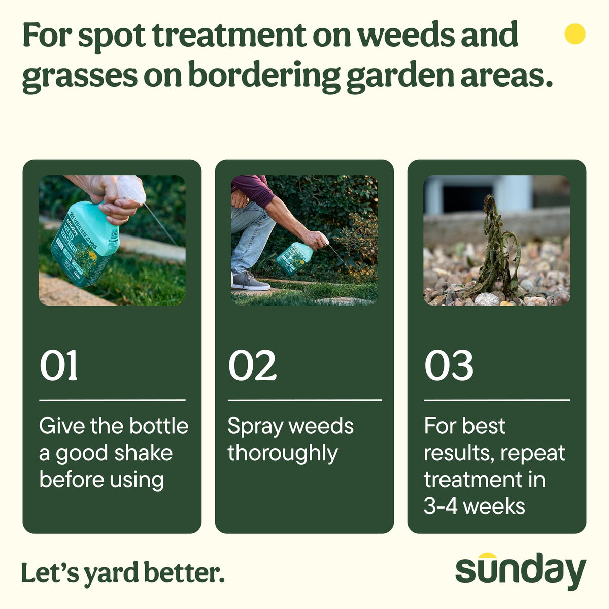 Sunday Weed Warrior kills weeds, grass, algae, and moss in non lawn zones