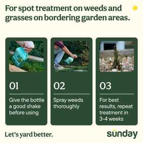 Sunday Weed Warrior kills weeds, grass, algae, and moss in non lawn zones