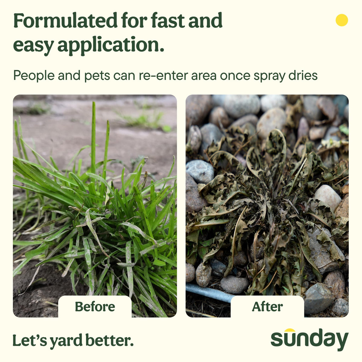 Sidewalk and bed edge application with Sunday Weed Warrior