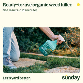 Sunday Weed Warrior being sprayed to target weeds with precision