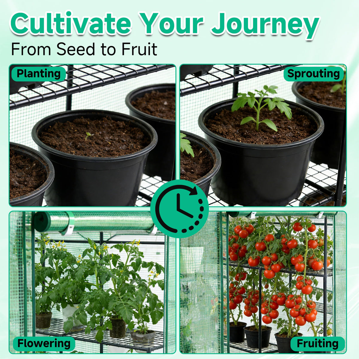 SUNGIFT heavy-duty metal frame protects plants in windy and wet conditions.