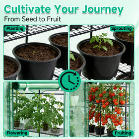SUNGIFT heavy-duty metal frame protects plants in windy and wet conditions.