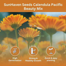 SunHaven Calendula Pacific Beauty Mix in full bloom with orange and yellow petals.