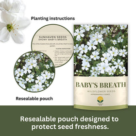 SunHaven Baby’s Breath seeds germinate quickly for airy, cloud-like blooms.