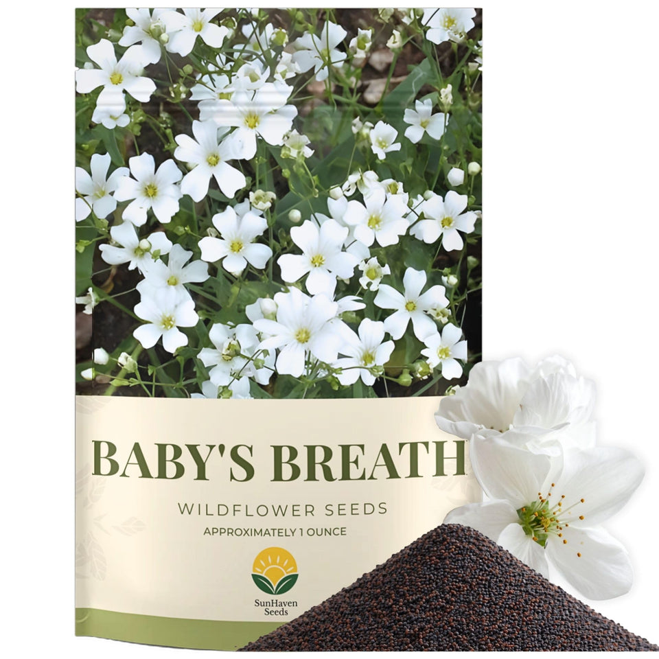 SunHaven Seeds Baby’s Breath seeds in 1oz pouch ready for planting in gardens.