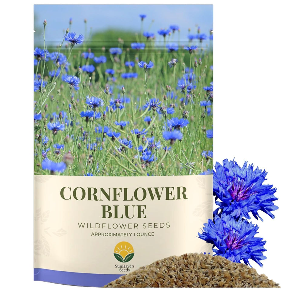 SunHaven Seeds Bachelor Button blue cornflower seeds in a packet for vibrant borders.
