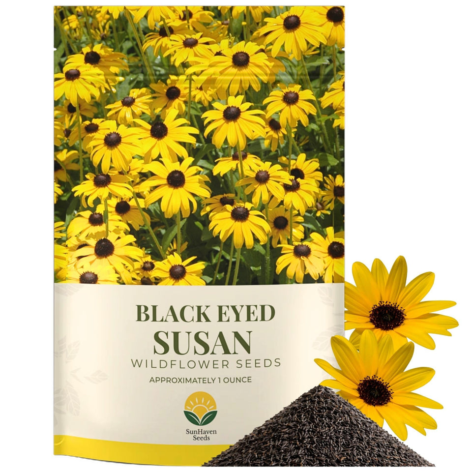 SunHaven Seeds Black-Eyed Susan seeds in resealable pouch front for freshness and bulk planting.
