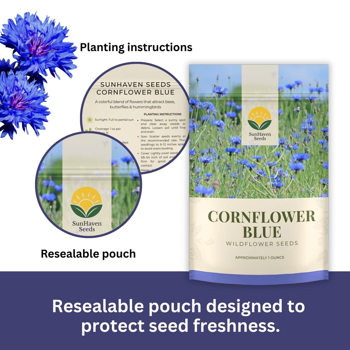 SunHaven Seeds blue cornflower seeds closeup ready to sow for cheerful summer color.