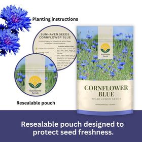 SunHaven Seeds blue cornflower seeds closeup ready to sow for cheerful summer color.